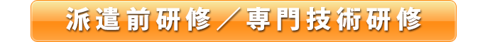 派遣前研修/専門技術研修